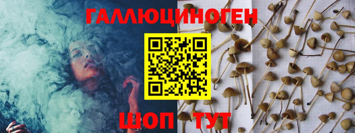 Галлюциногенные грибы Magic Shrooms Кунгур